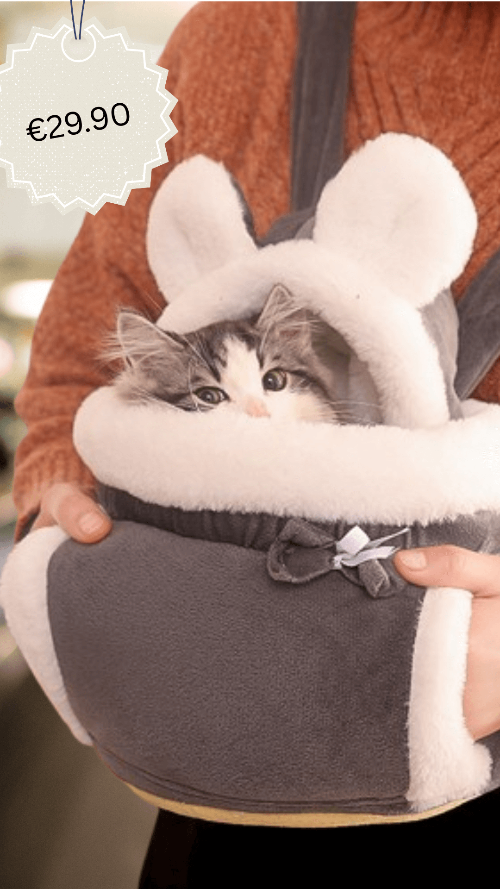 Sac de transport pour chien