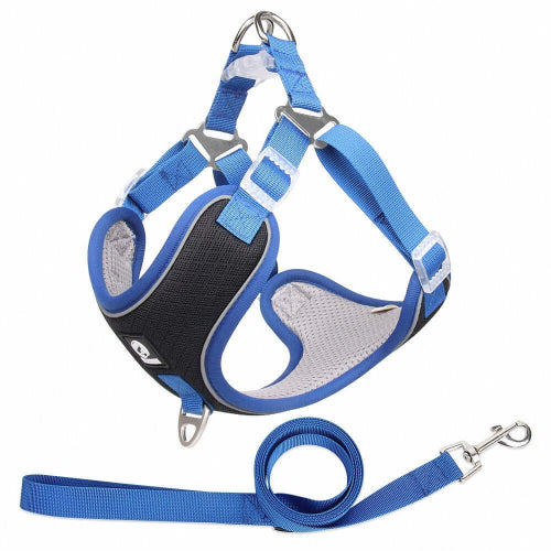 Harnais de sécurité pour chien confortable Harnais SafeWalk
