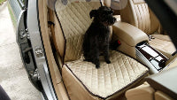 Protège-siège voiture chien
