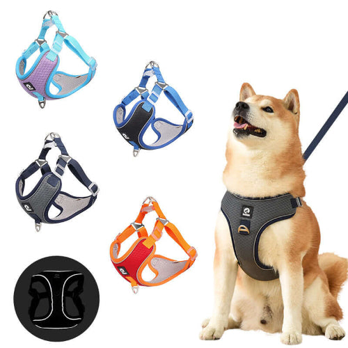 Harnais de sécurité pour chien confortable Harnais SafeWalk