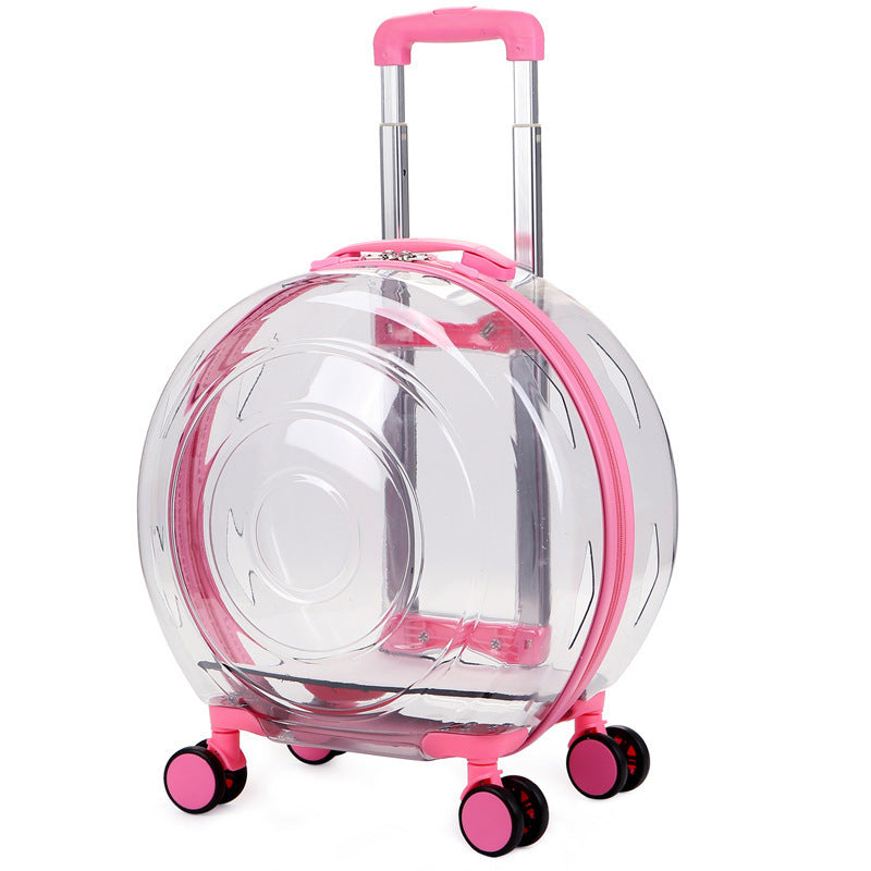 Valise transparente animaux