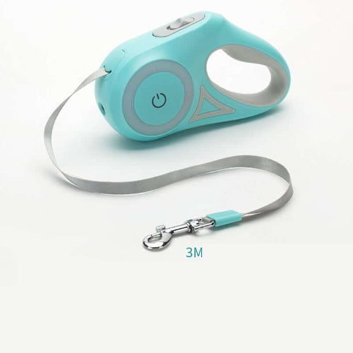 Laisse extensible chien