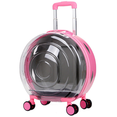 Valise transparente animaux