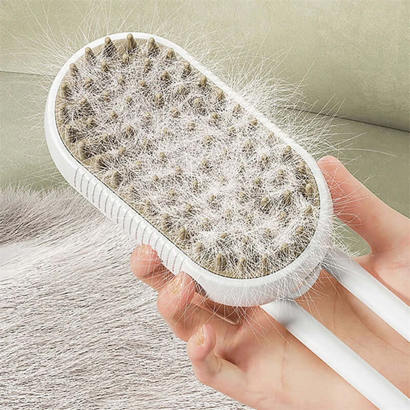 Brosse vapeur électrique pour animaux avec bouton et picots, idéale pour le toilettage et le retrait des poils.