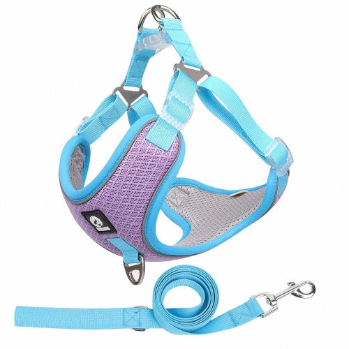 Harnais de sécurité pour chien confortable Harnais SafeWalk